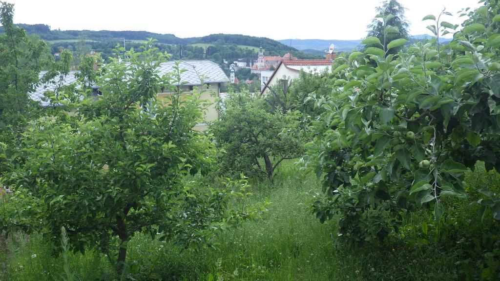 Ubytování u Dolanských Český Krumlov Esterno foto